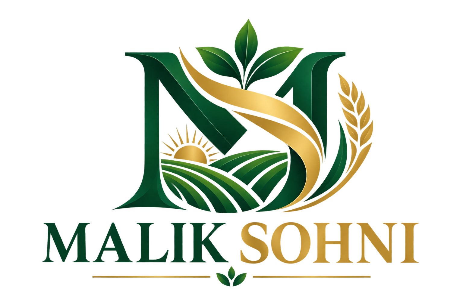 Malik Sohni Logo