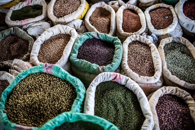 Supporting Agriculture From Seed to Market